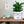 Load image into Gallery viewer, Face Planter eyeglass holder with plants marker alarm clock wooden shelf indoors
